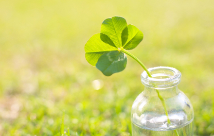 いきいきふれあい講座2026受講生募集について